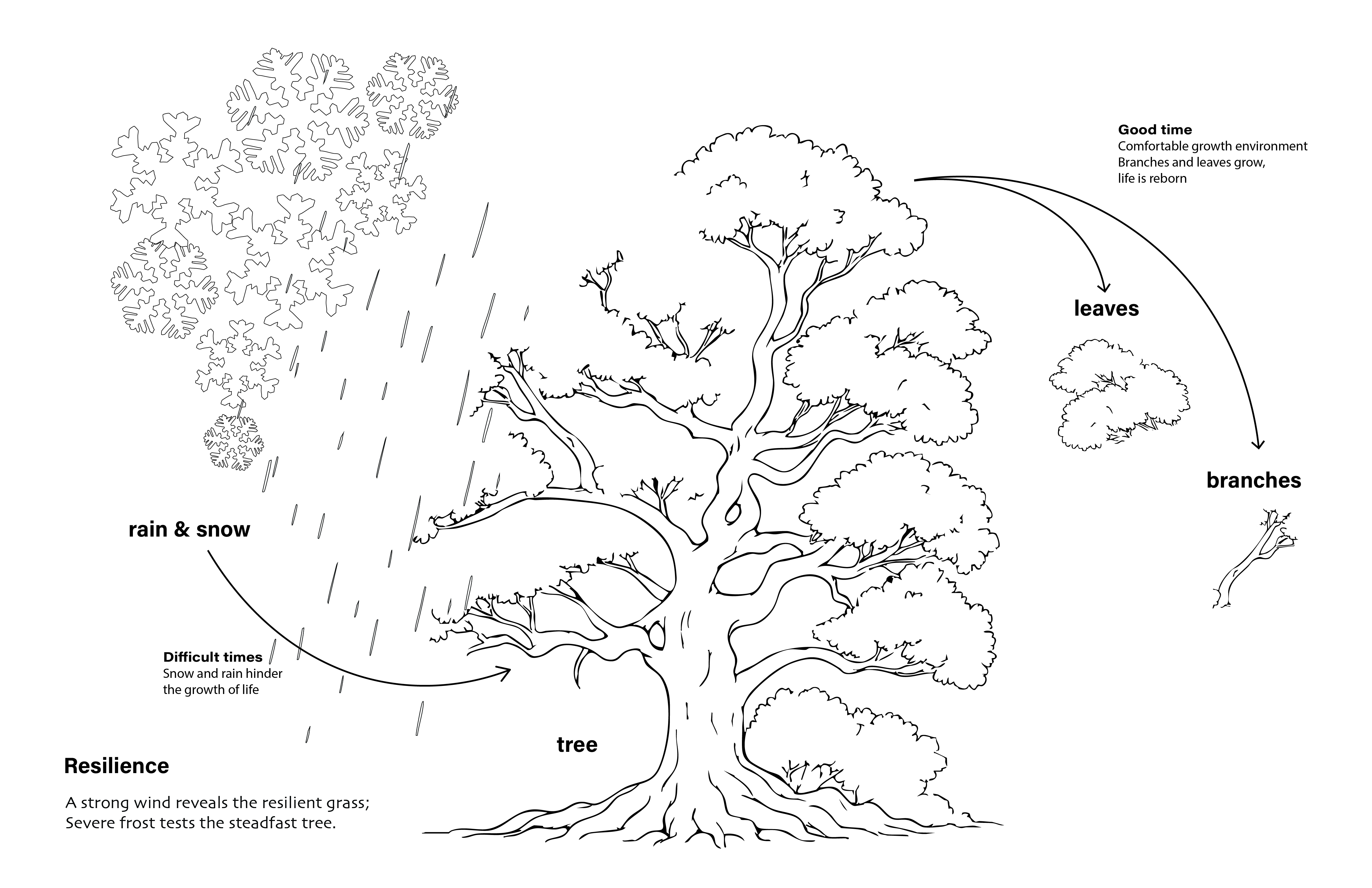 story visual map1