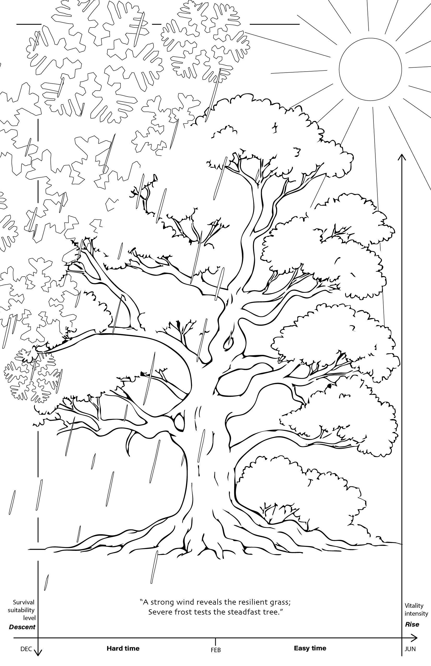 story visual map2