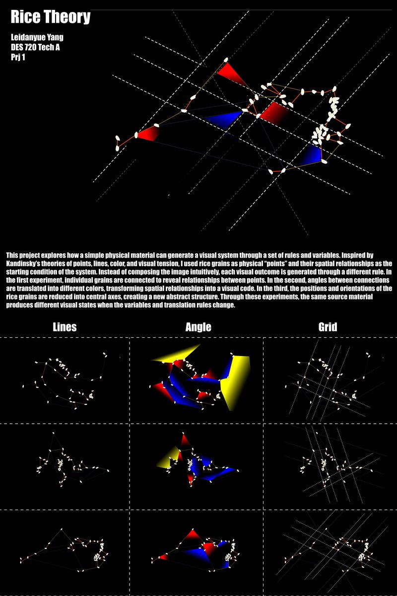 Rice Theory Poster