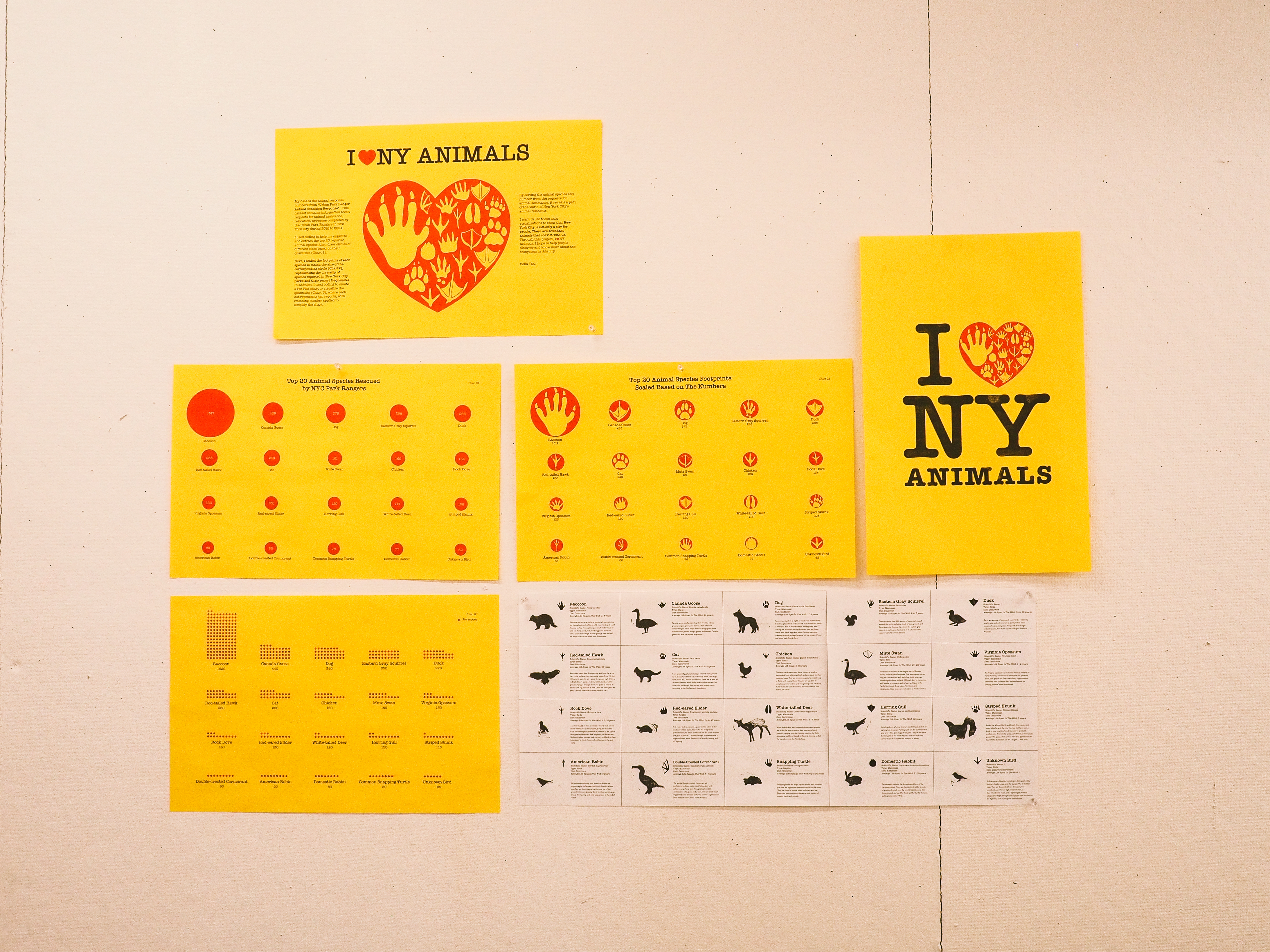 Physical Presentation 01: Data Chart