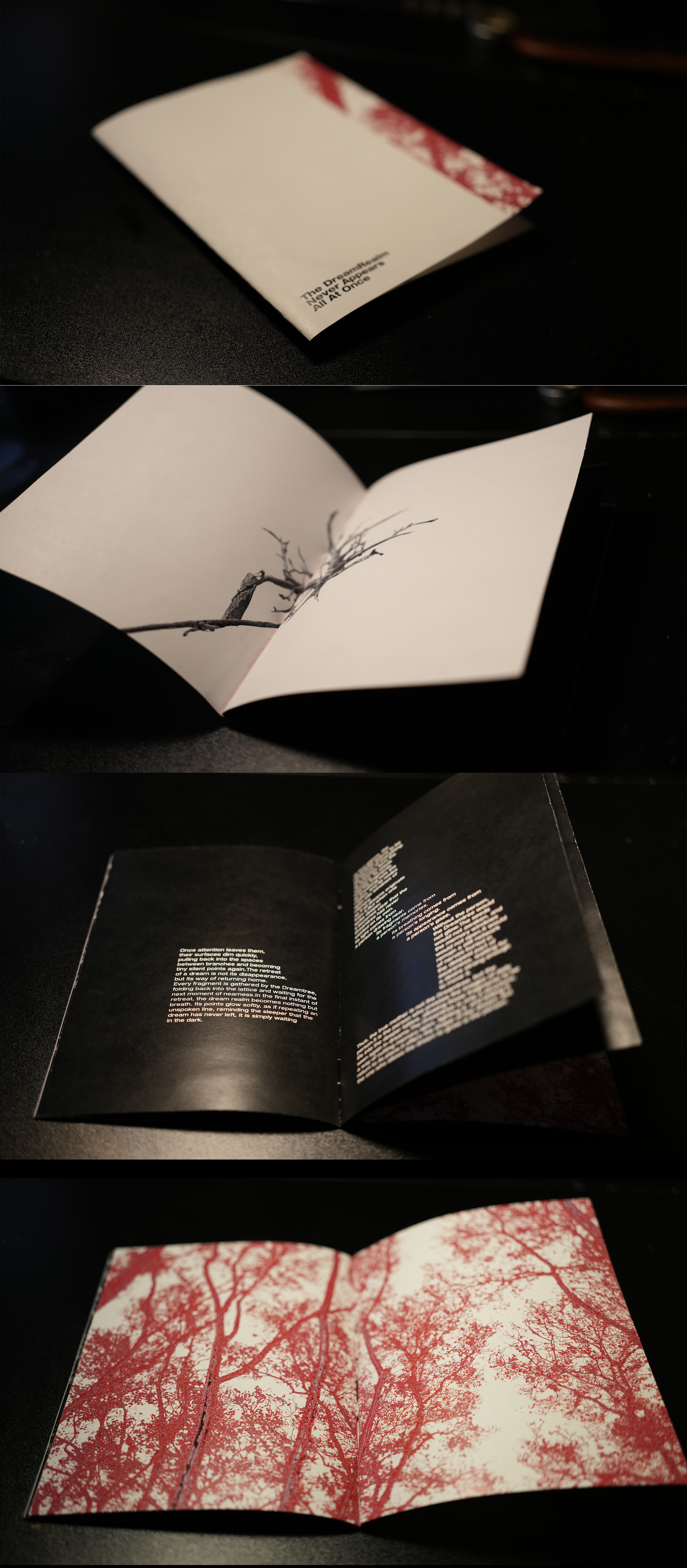 WorldView(DreamTree)